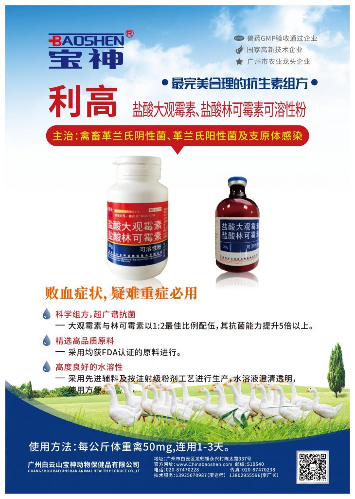 日韩精品亚洲电影天堂