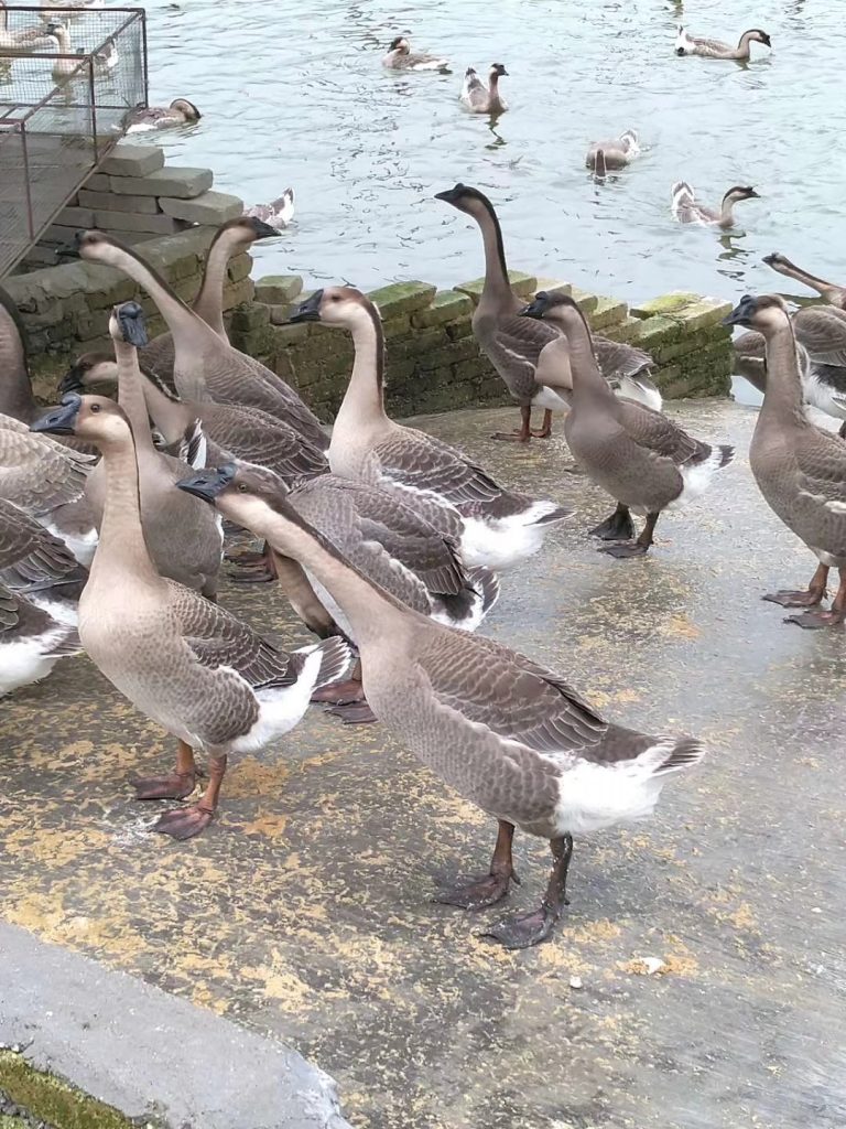 日韩精品亚洲电影天堂