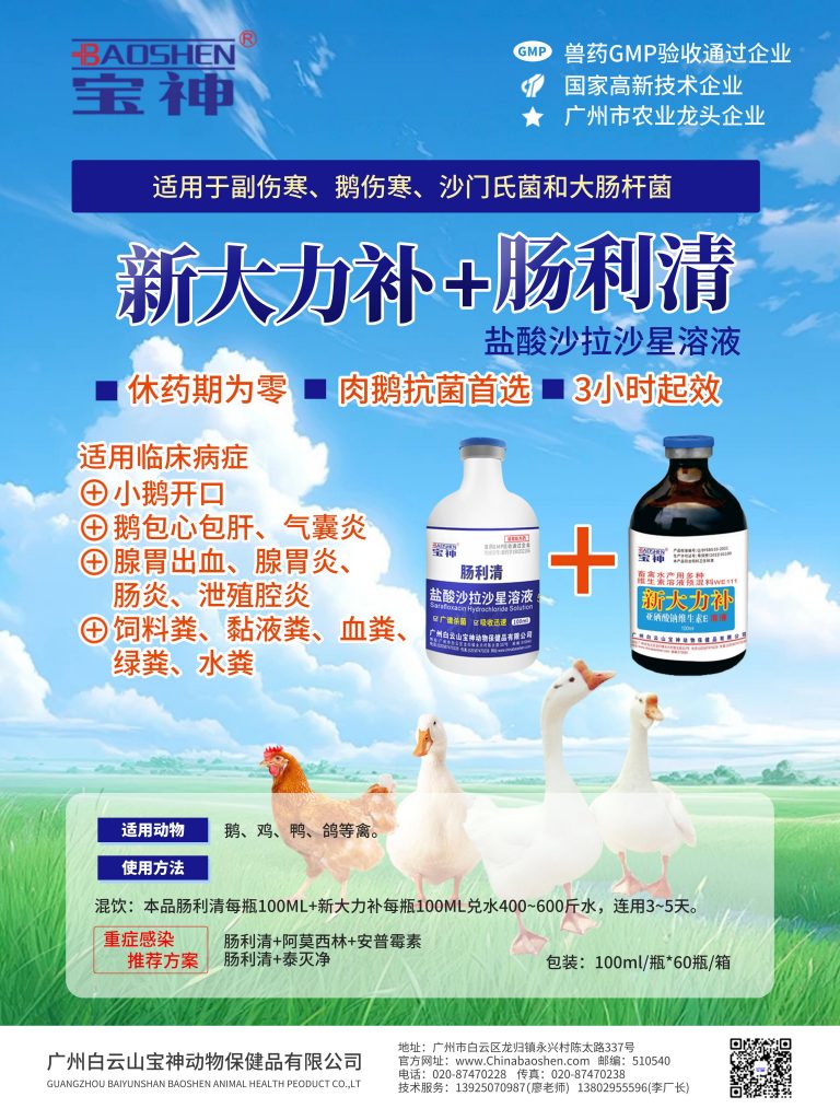 日韩精品亚洲电影天堂