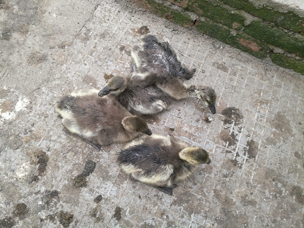 日韩精品亚洲电影天堂