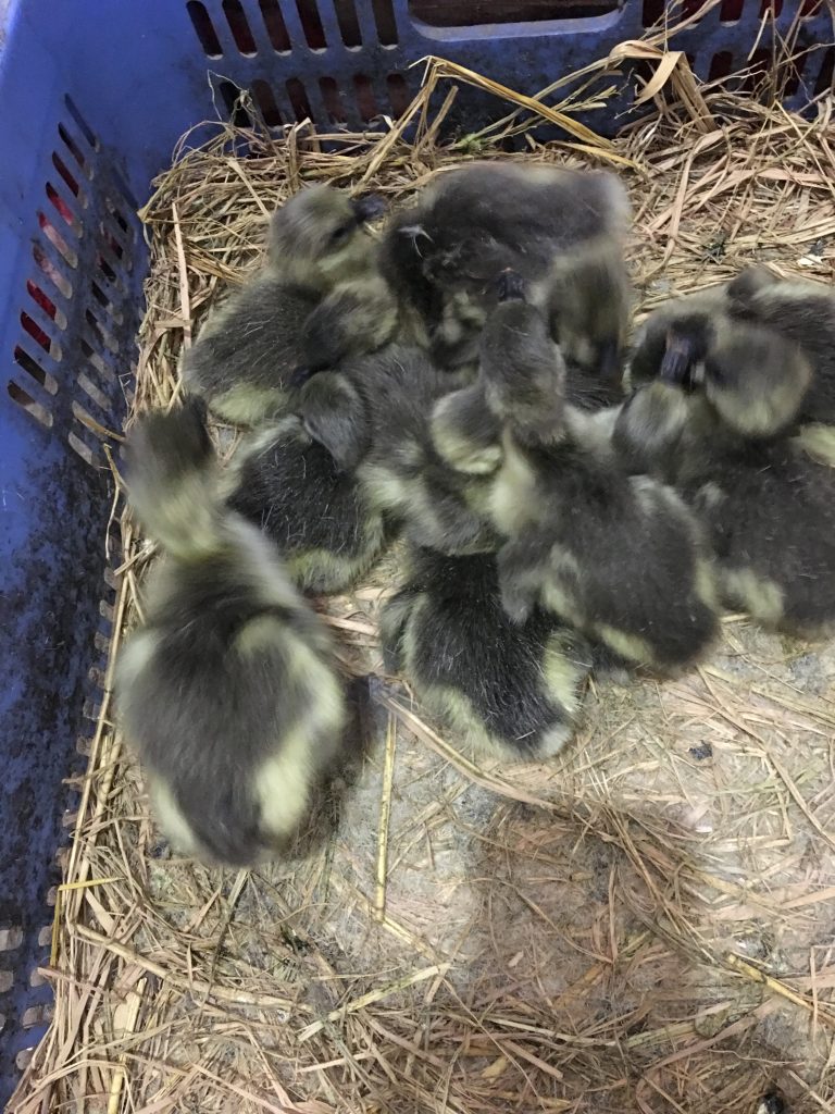 日韩精品亚洲电影天堂