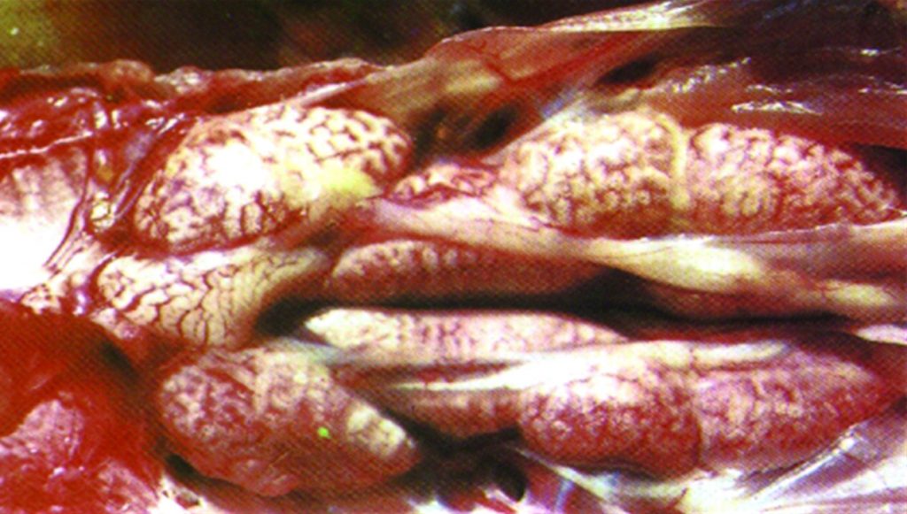 日韩精品亚洲电影天堂