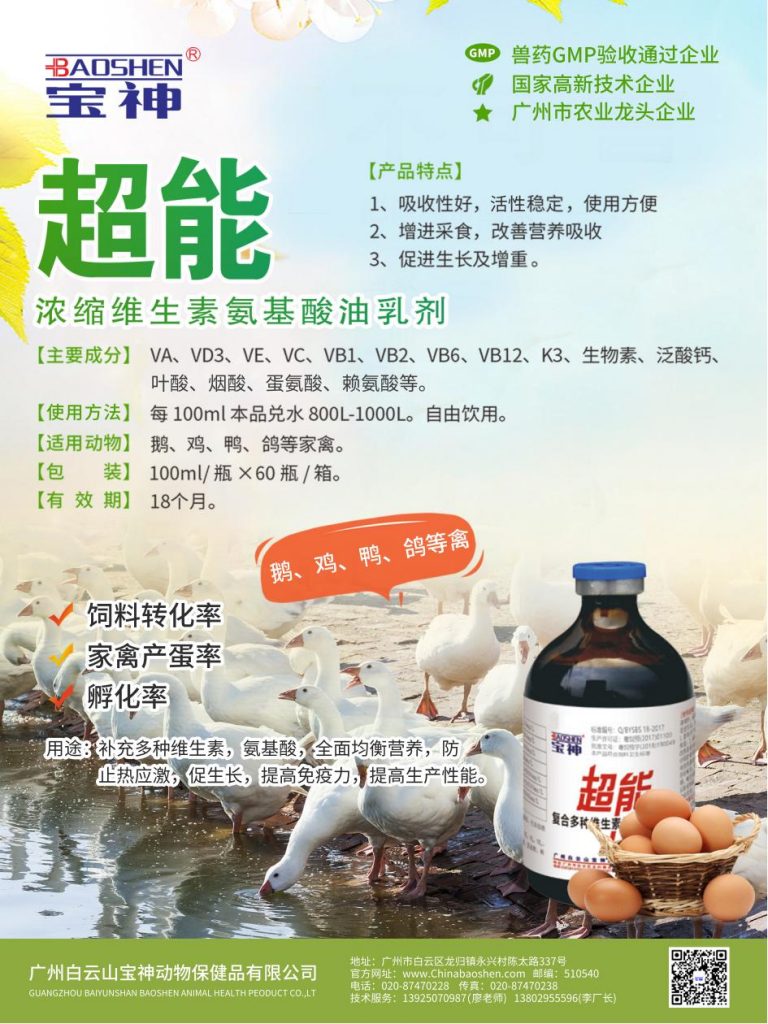 日韩精品亚洲电影天堂