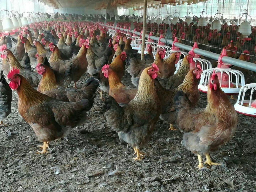 日韩精品亚洲电影天堂