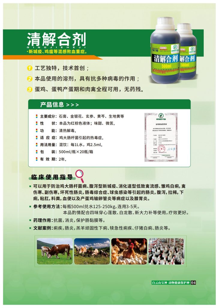 日韩精品亚洲电影天堂