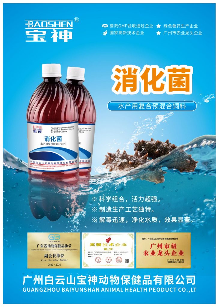 日韩精品亚洲电影天堂