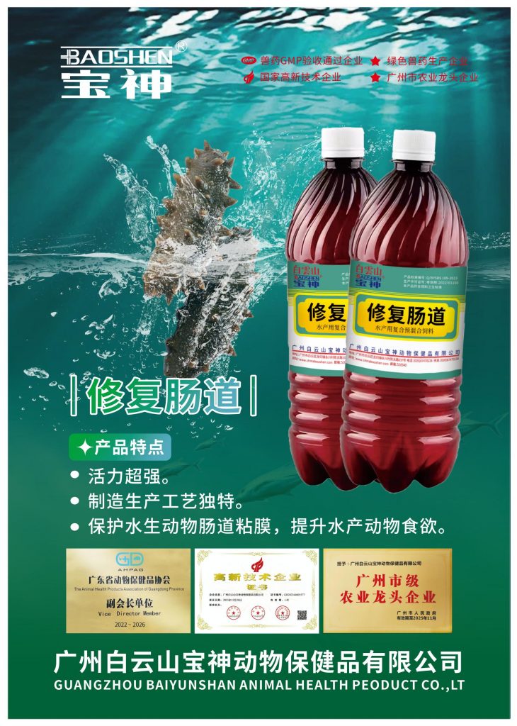 日韩精品亚洲电影天堂