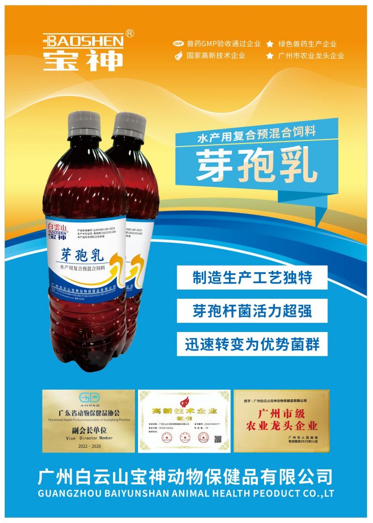 日韩精品亚洲电影天堂