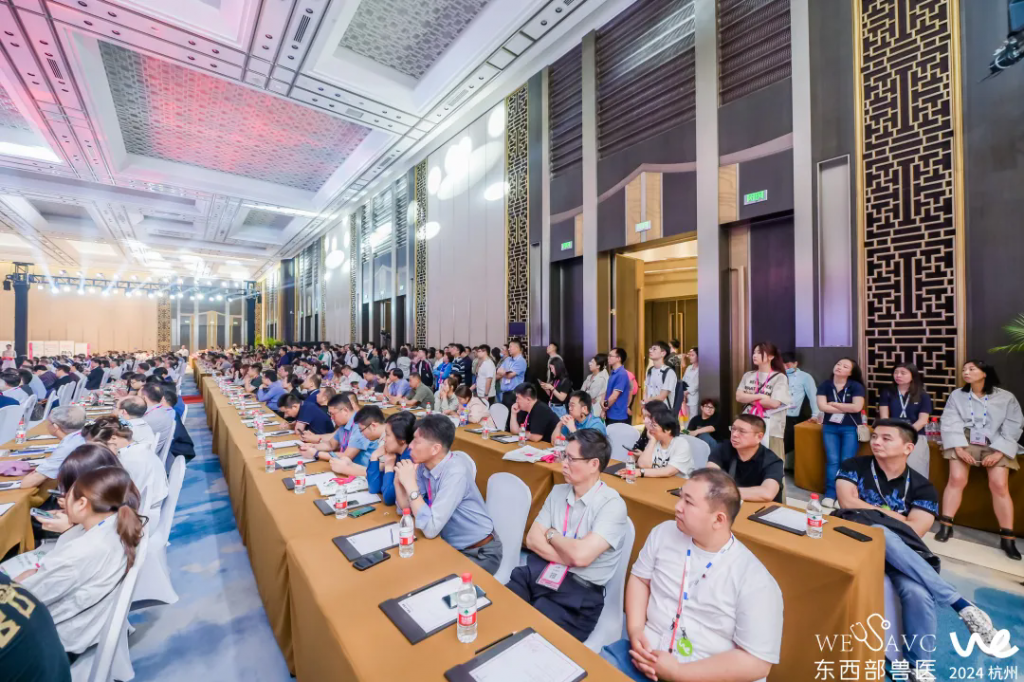 日韩精品亚洲电影天堂