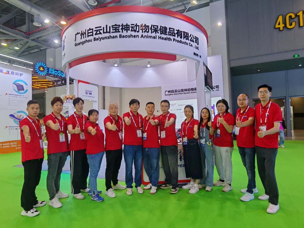 日韩精品亚洲电影天堂