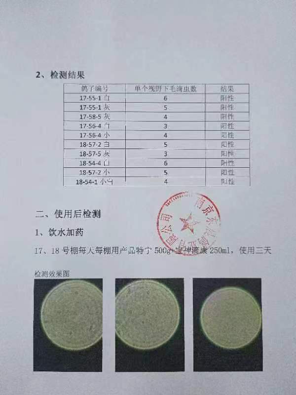 日韩精品亚洲电影天堂