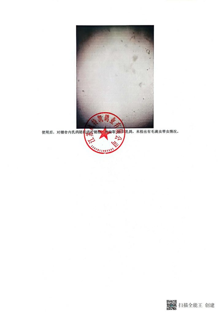 日韩精品亚洲电影天堂