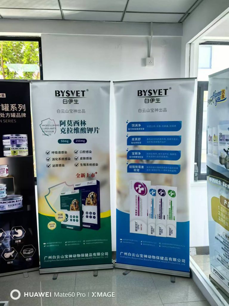 日韩精品亚洲电影天堂