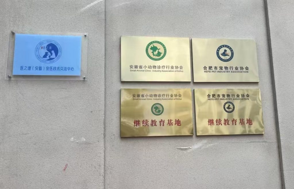 日韩精品亚洲电影天堂