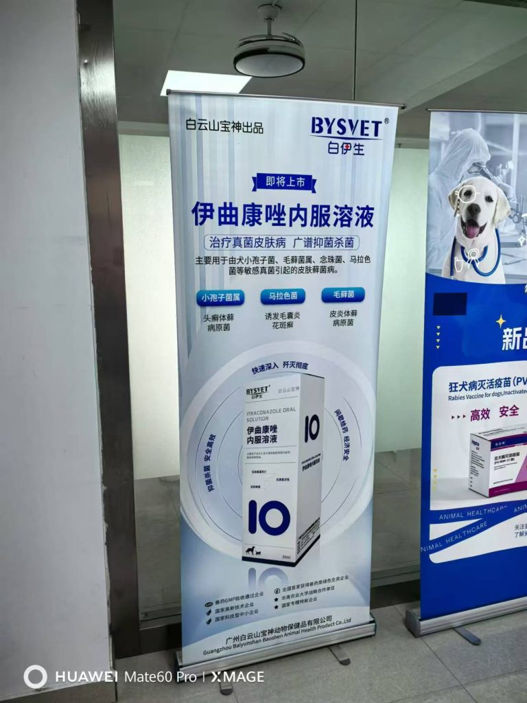 日韩精品亚洲电影天堂