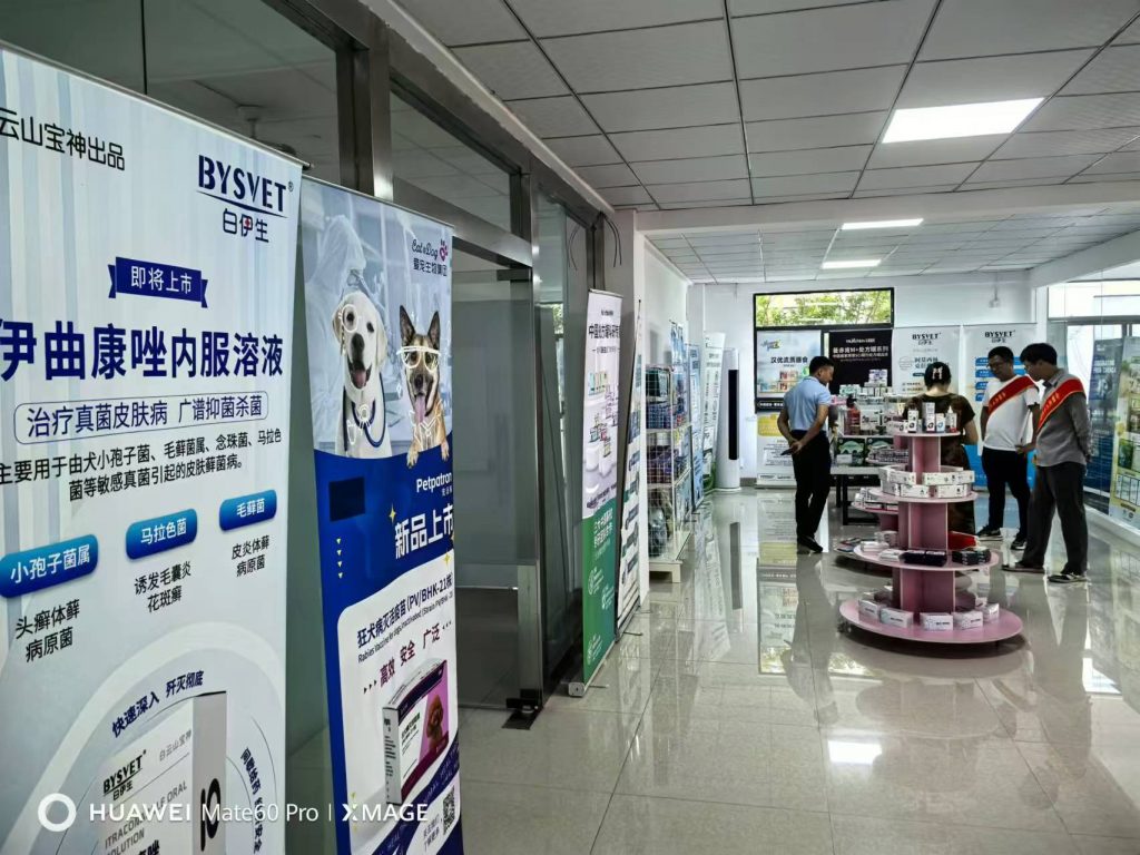 日韩精品亚洲电影天堂