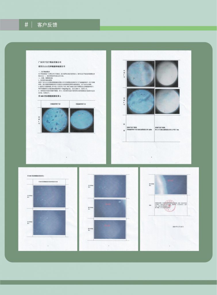 日韩精品亚洲电影天堂
