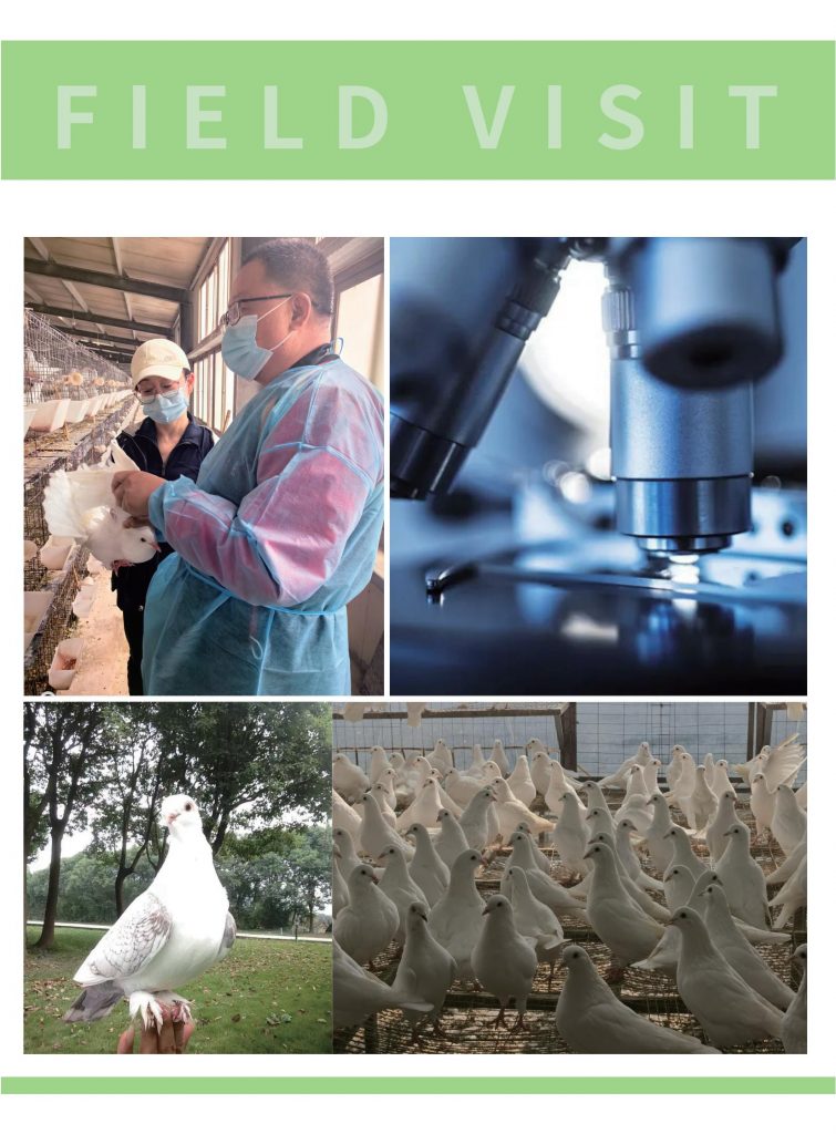 日韩精品亚洲电影天堂