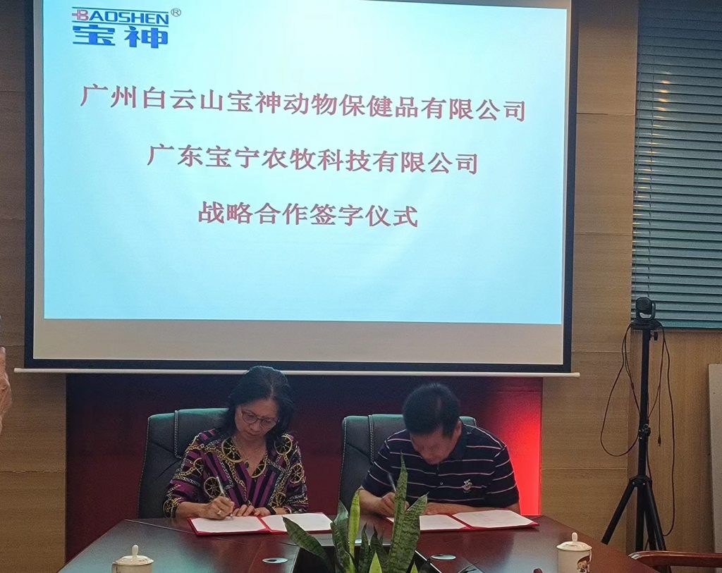 日韩精品亚洲电影天堂