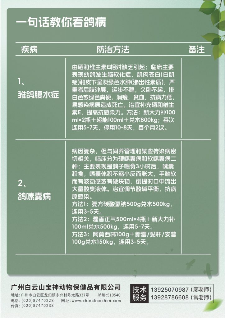 日韩精品亚洲电影天堂