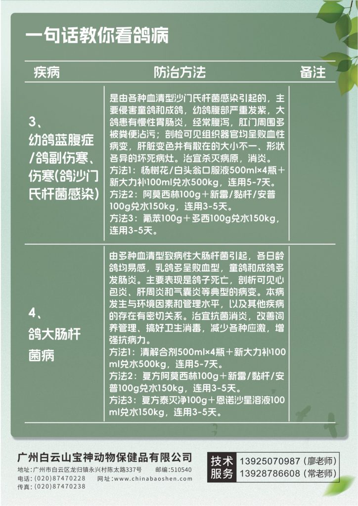 日韩精品亚洲电影天堂