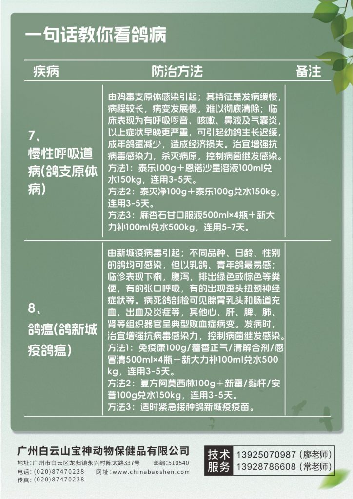 日韩精品亚洲电影天堂