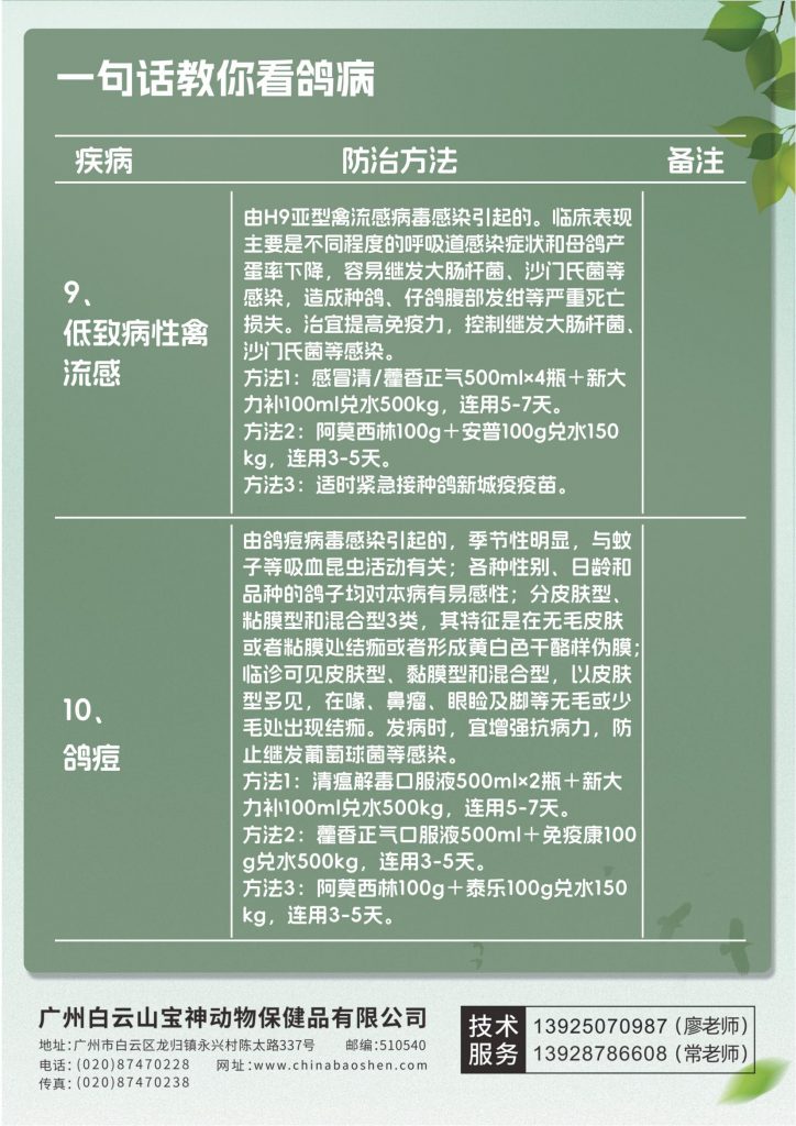 日韩精品亚洲电影天堂