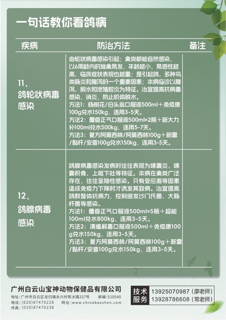 日韩精品亚洲电影天堂