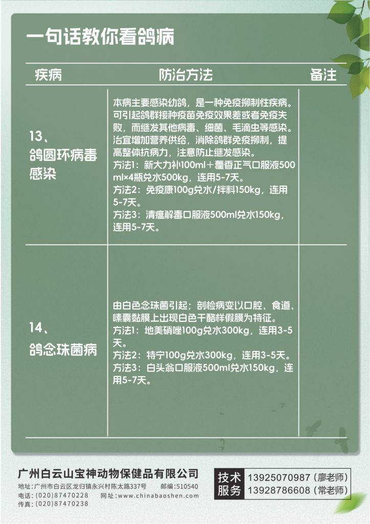 日韩精品亚洲电影天堂