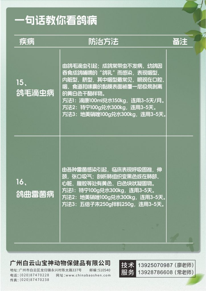 日韩精品亚洲电影天堂