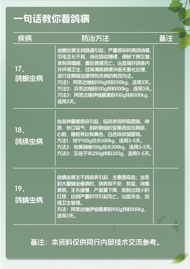 日韩精品亚洲电影天堂