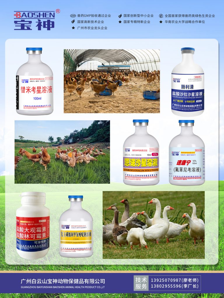 日韩精品亚洲电影天堂