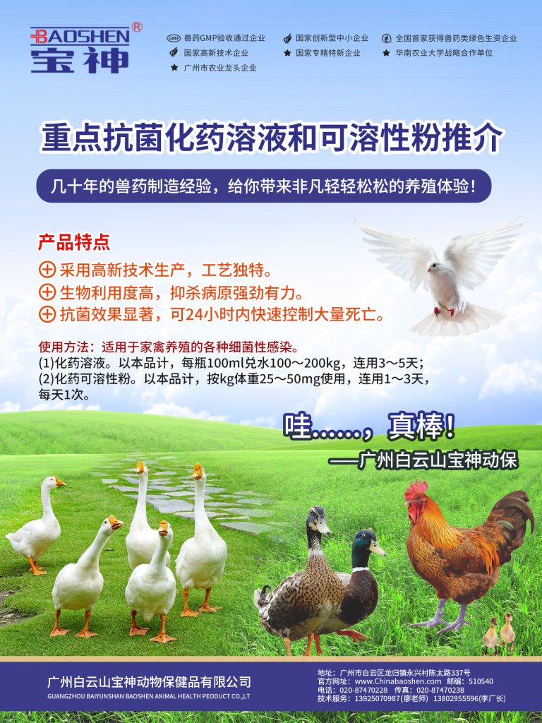 日韩精品亚洲电影天堂