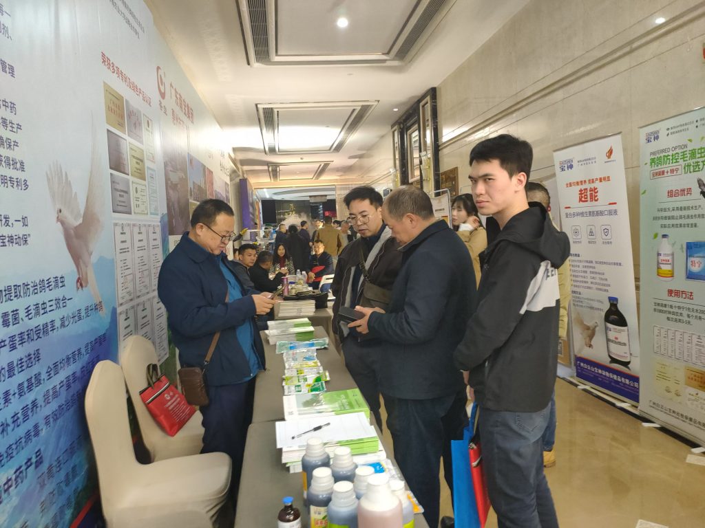 日韩精品亚洲电影天堂