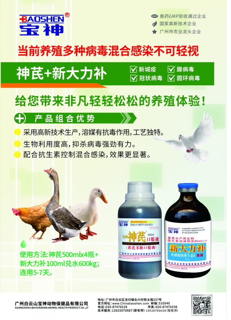 日韩精品亚洲电影天堂