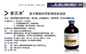 日韩精品亚洲电影天堂