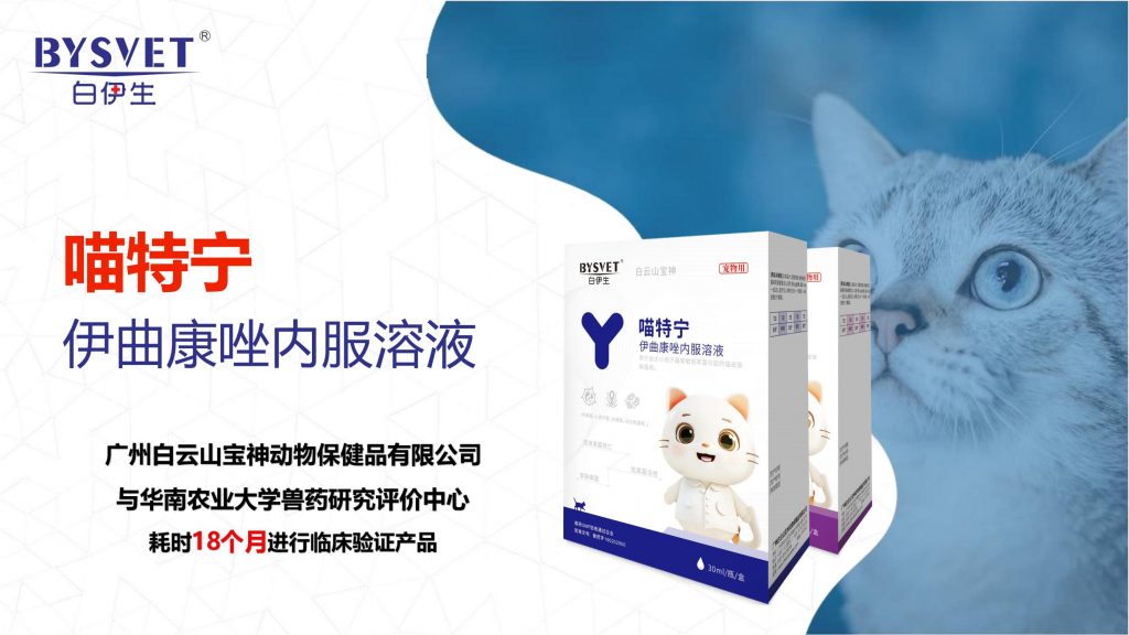 日韩精品亚洲电影天堂