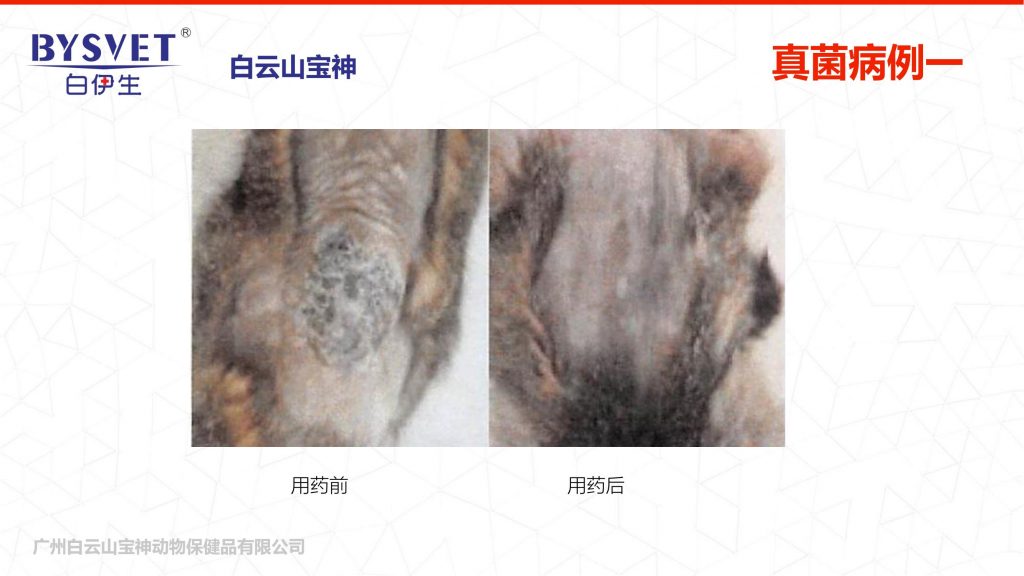 日韩精品亚洲电影天堂