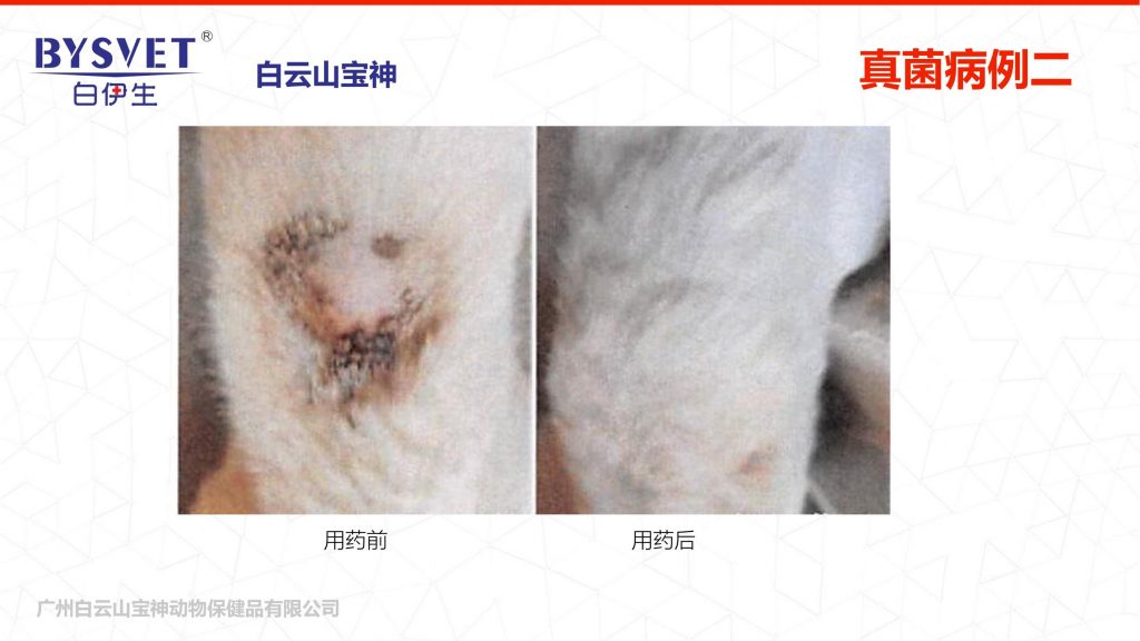 日韩精品亚洲电影天堂