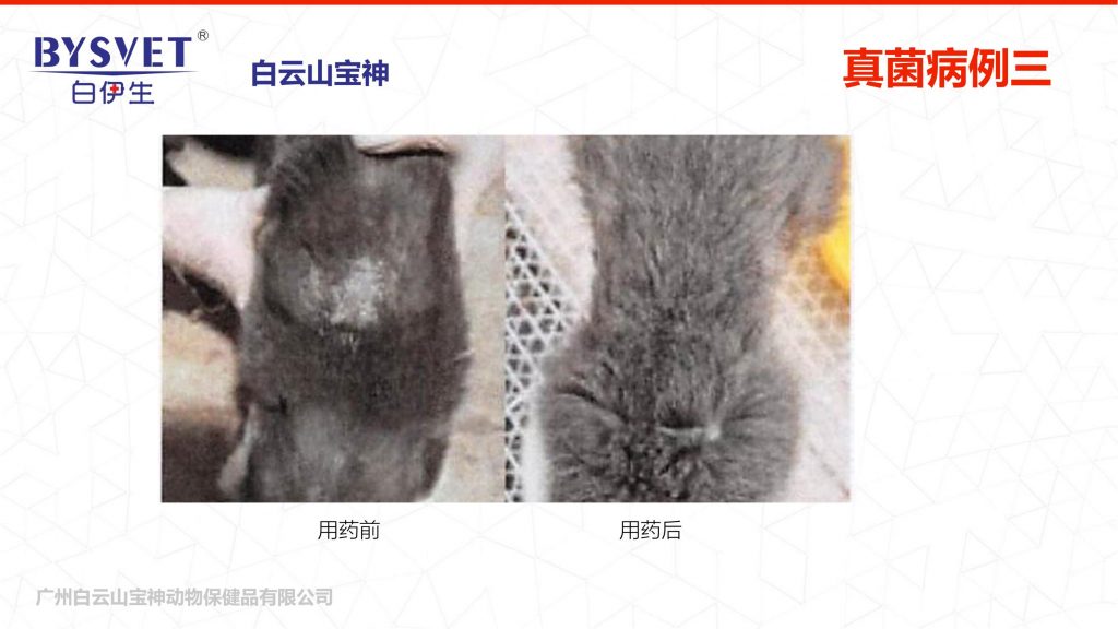 日韩精品亚洲电影天堂