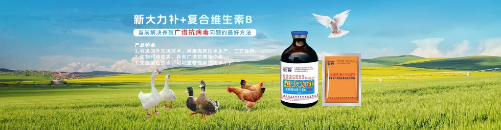 日韩精品亚洲电影天堂