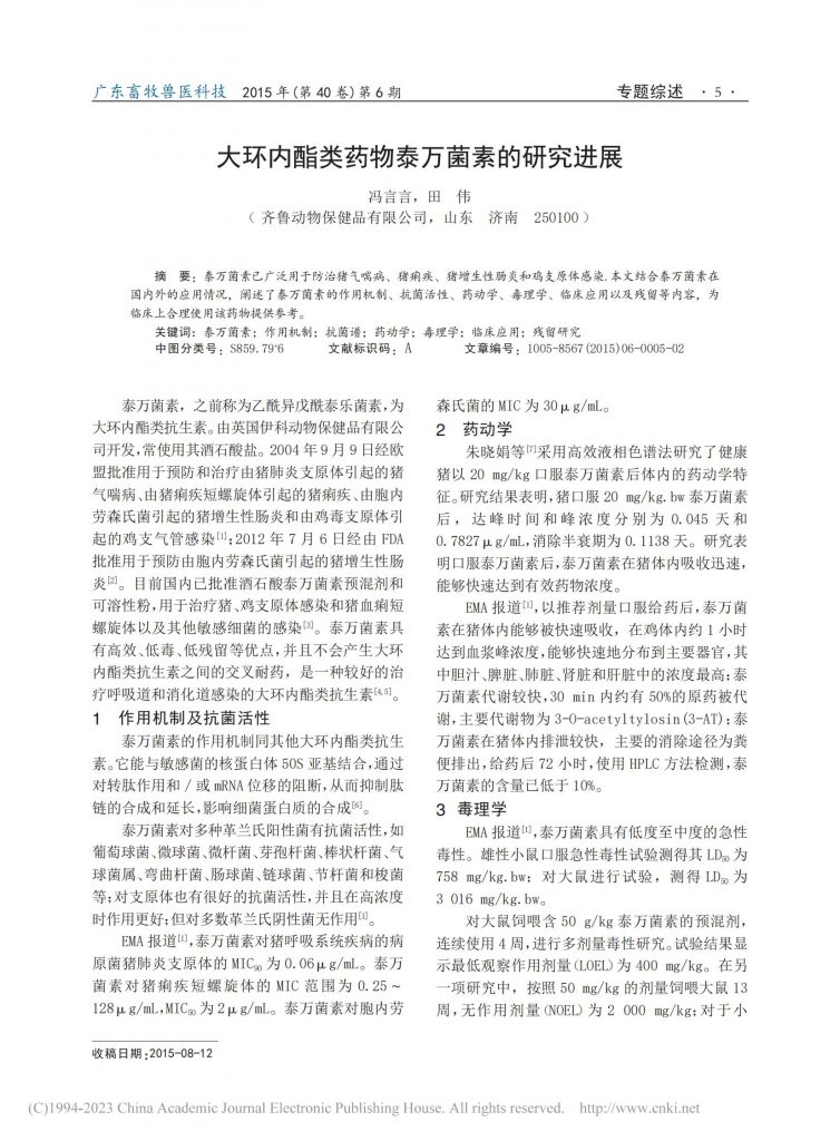 日韩精品亚洲电影天堂