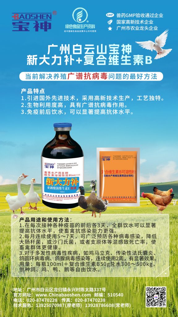 日韩精品亚洲电影天堂