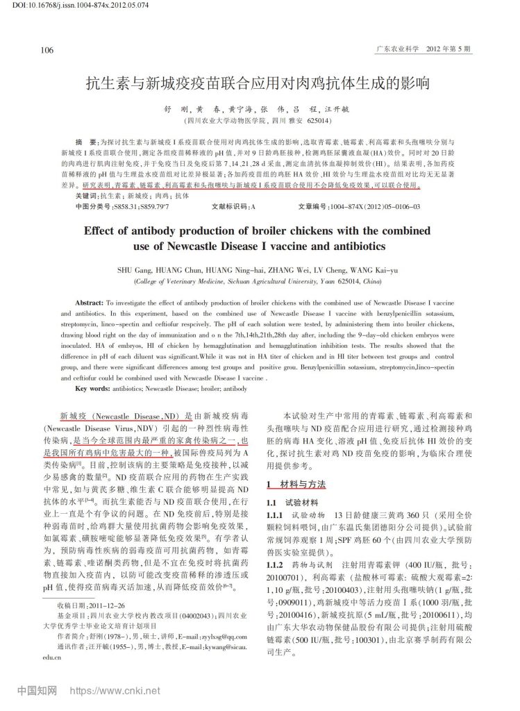 日韩精品亚洲电影天堂