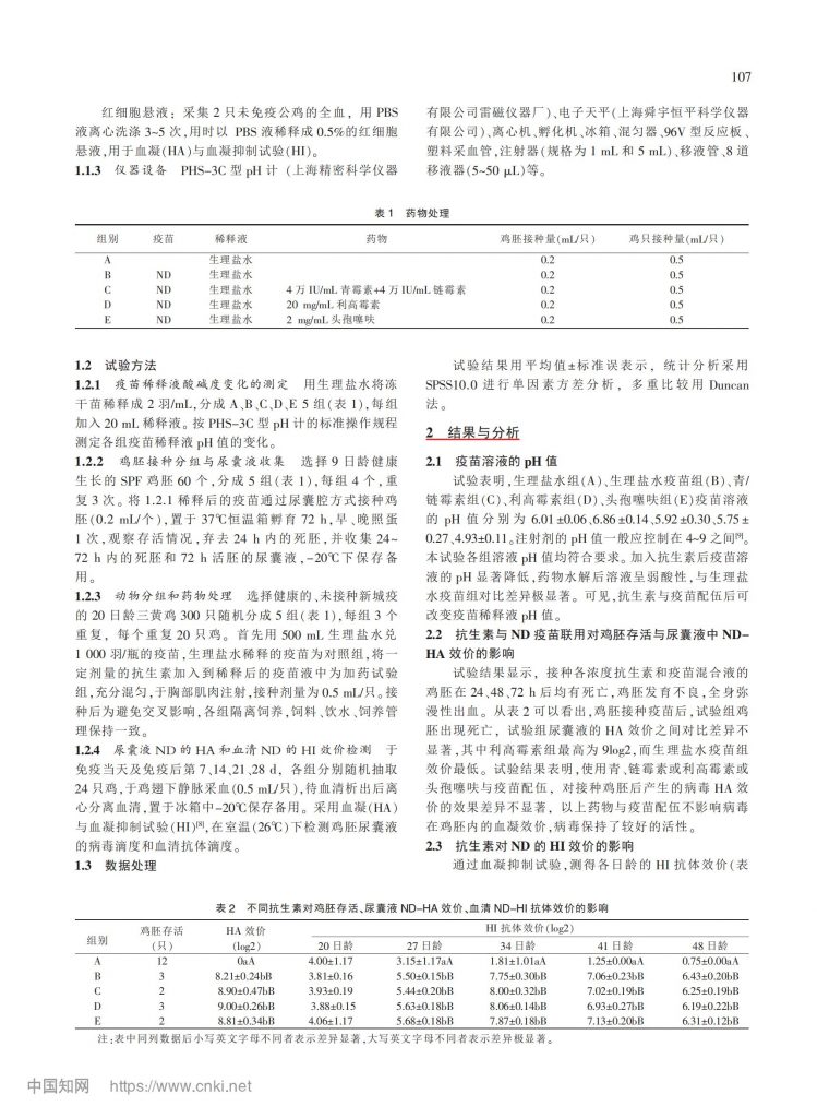 日韩精品亚洲电影天堂