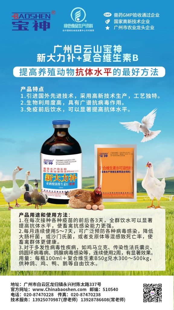 日韩精品亚洲电影天堂