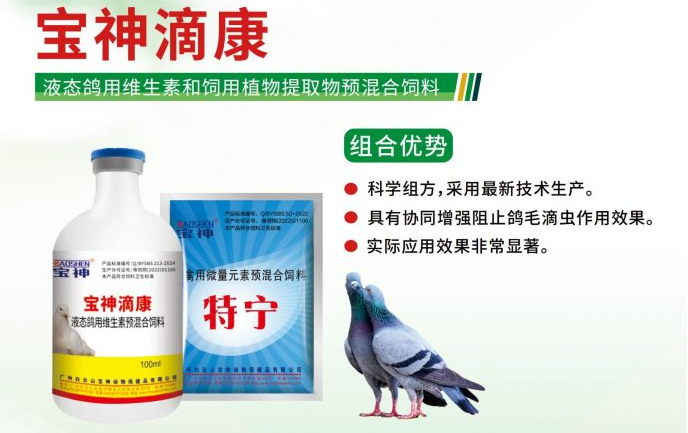 日韩精品亚洲电影天堂