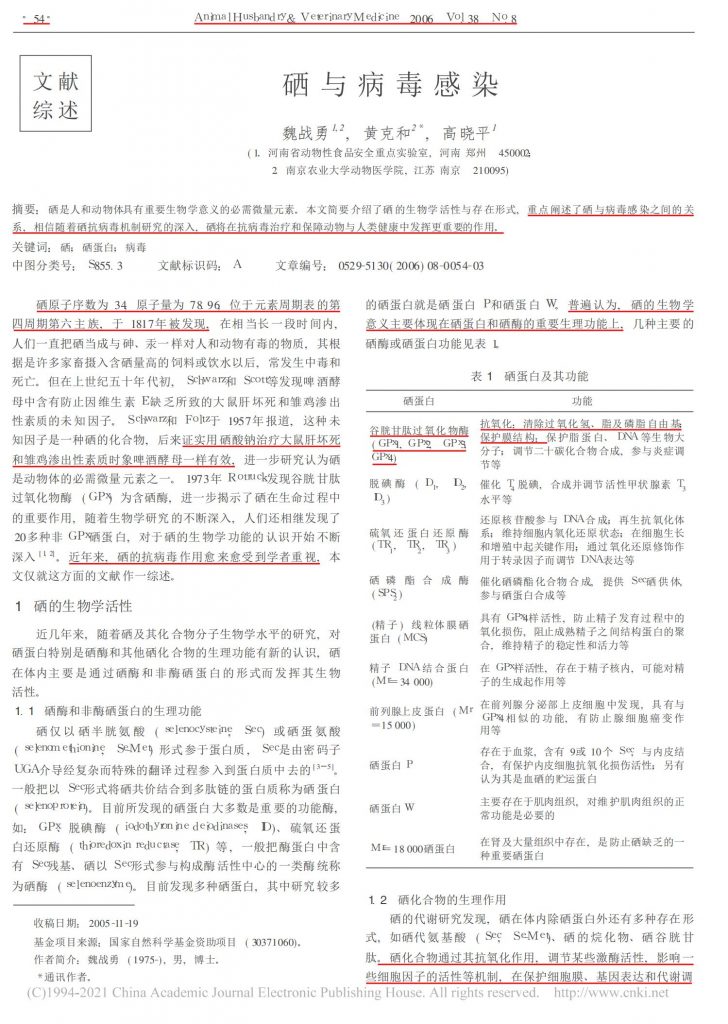 日韩精品亚洲电影天堂