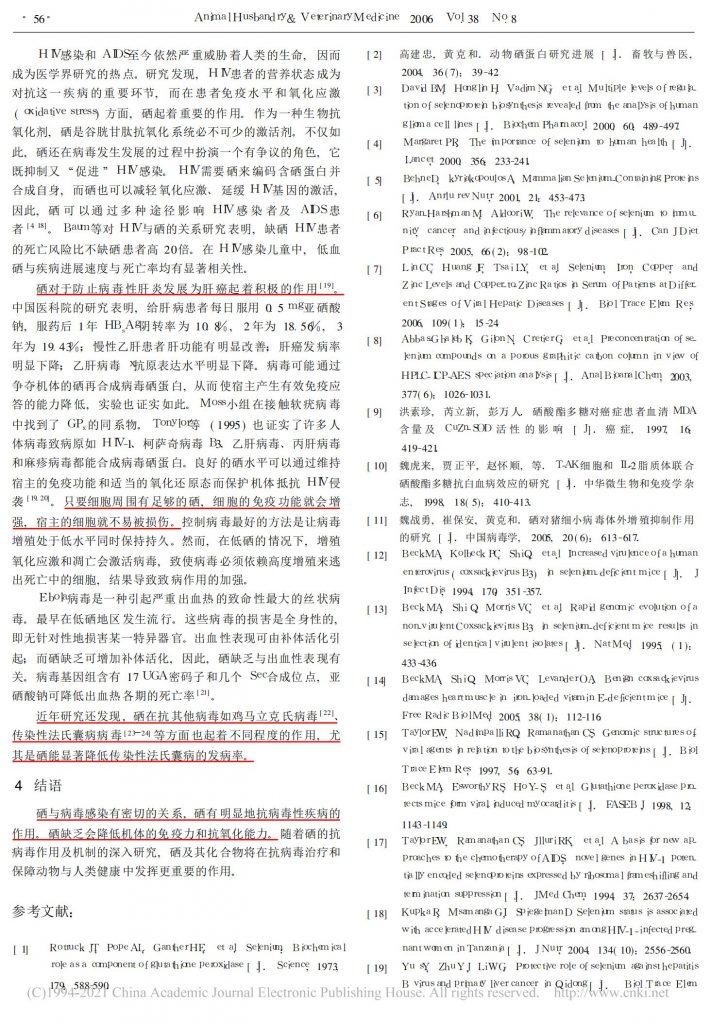 日韩精品亚洲电影天堂