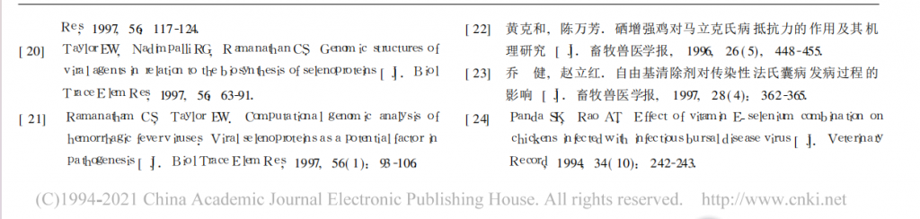 日韩精品亚洲电影天堂